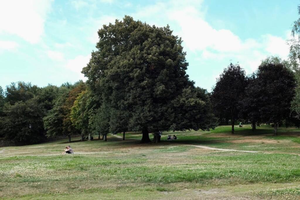Apartamento Parque De Bonaval Lägenhet Santiago de Compostela Exteriör bild