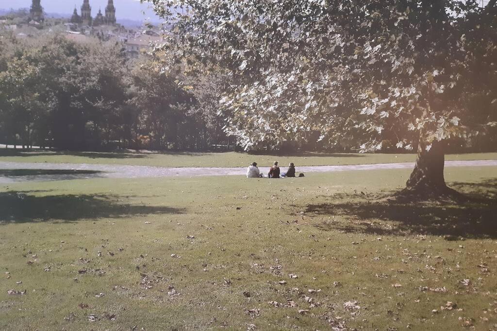 Apartamento Parque De Bonaval Lägenhet Santiago de Compostela Exteriör bild